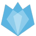 Paradigm Logo